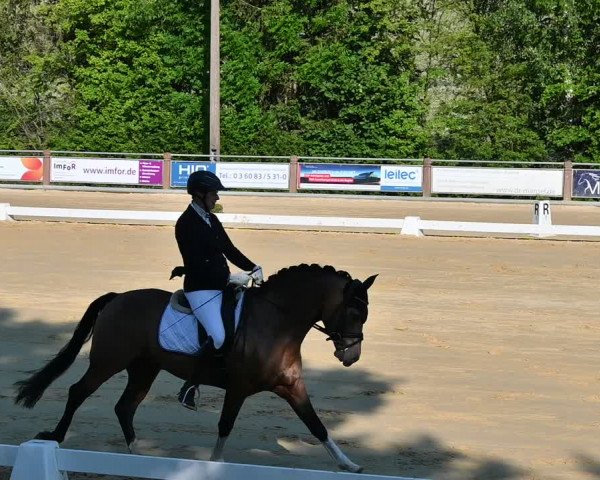 Reitturnier Uder, Reitanlage Kobold 2022