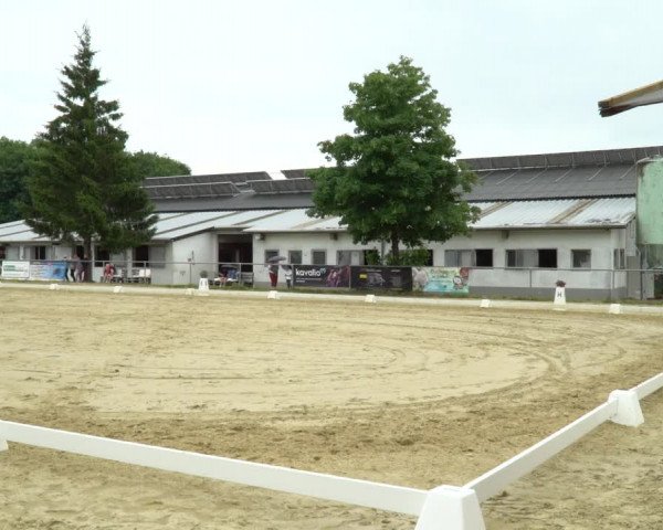 Reitturnier Bad Marienberg - OT Nisterau 2022