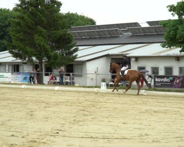 Reitturnier Bad Marienberg - OT Nisterau 2022
