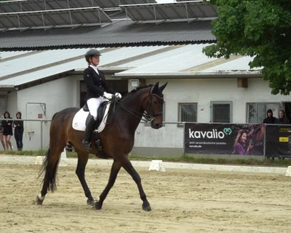 Reitturnier Bad Marienberg - OT Nisterau 2022