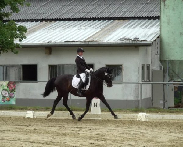 Reitturnier Bad Marienberg - OT Nisterau 2022
