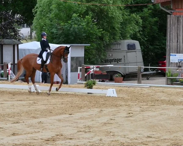 Reitturnier Uder, Reitanlage Kobold 2022