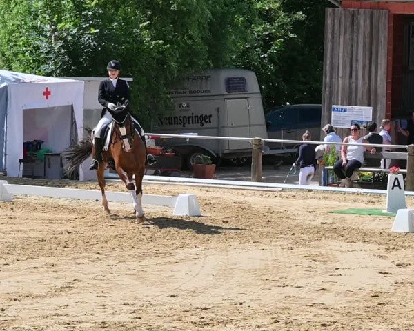 Reitturnier Uder, Reitanlage Kobold 2022