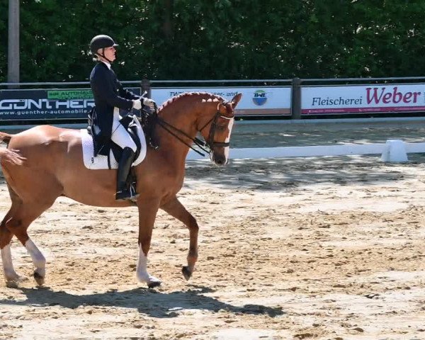 Reitturnier Uder, Reitanlage Kobold 2022