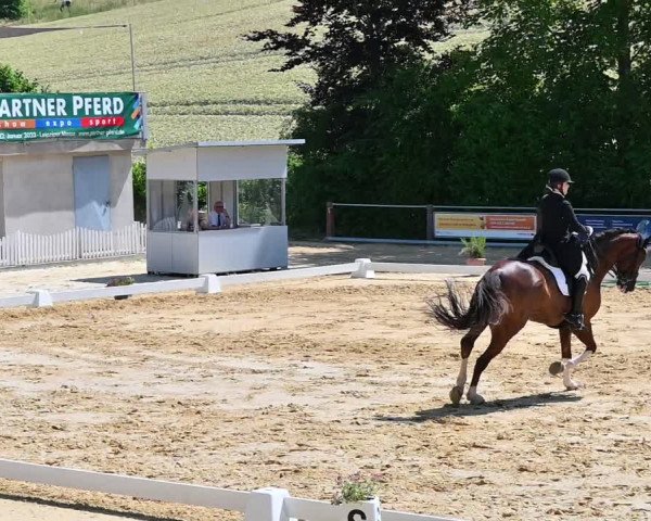 Reitturnier Uder, Reitanlage Kobold 2022