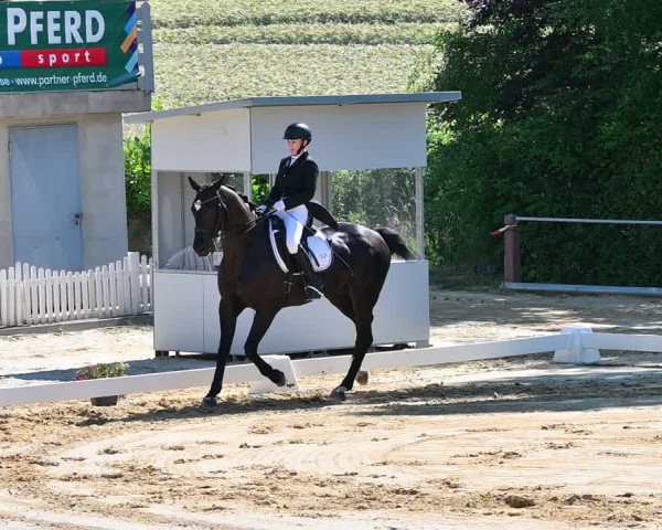 Reitturnier Uder, Reitanlage Kobold 2022