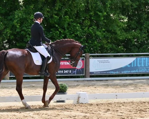Reitturnier Uder, Reitanlage Kobold 2022