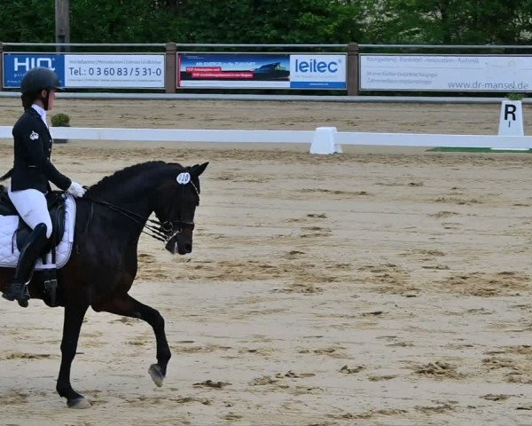 Reitturnier Uder, Reitanlage Kobold 2022
