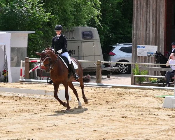 Reitturnier Uder, Reitanlage Kobold 2022