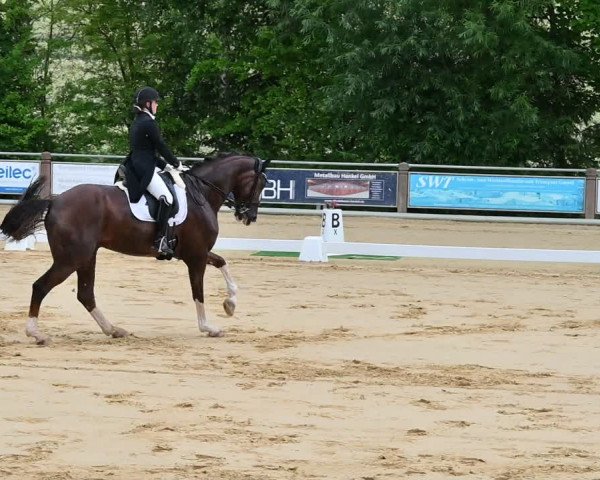Reitturnier Uder, Reitanlage Kobold 2022