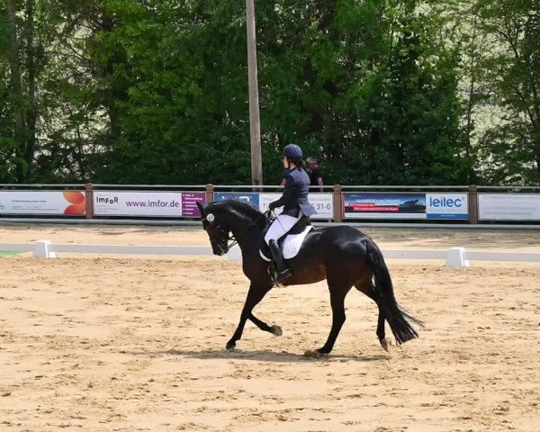 Reitturnier Uder, Reitanlage Kobold 2022