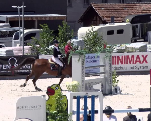 Reitturnier Gossau 2022
