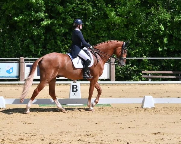 Reitturnier Uder, Reitanlage Kobold 2022