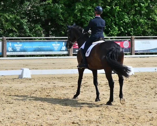 Reitturnier Uder, Reitanlage Kobold 2022