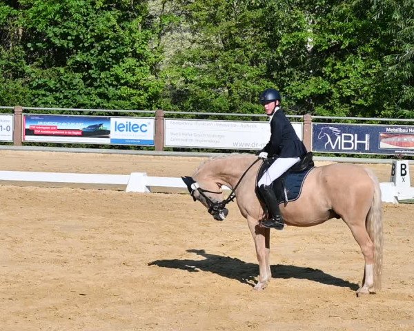 Reitturnier Uder, Reitanlage Kobold 2022