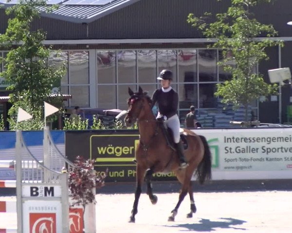 Reitturnier Gossau 2022