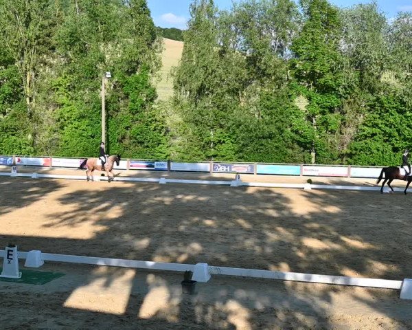 Reitturnier Uder, Reitanlage Kobold 2022