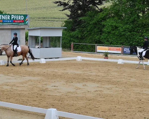 Reitturnier Uder, Reitanlage Kobold 2022