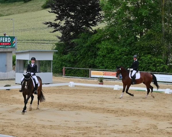 Reitturnier Uder, Reitanlage Kobold 2022