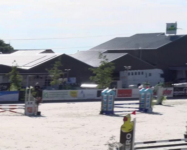 Reitturnier Gossau 2022
