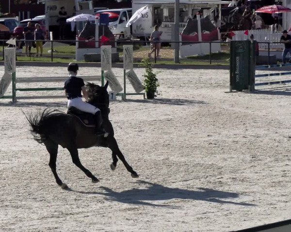 Reitturnier Gossau 2022