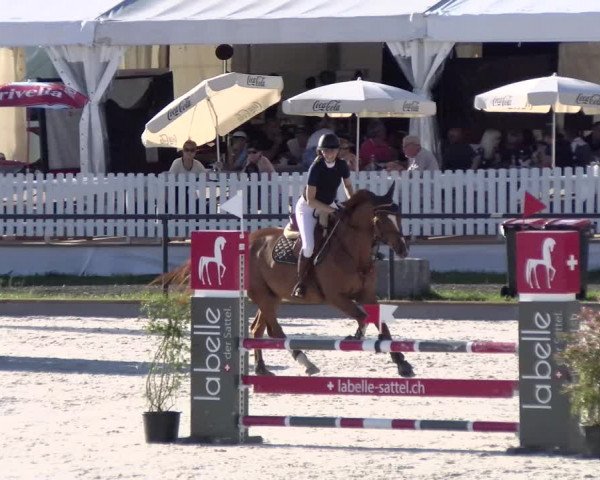 Reitturnier Gossau 2022