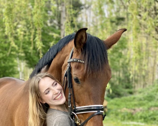horse Vogue‘s VIP (Hanoverian, 2017, from Vitalis)