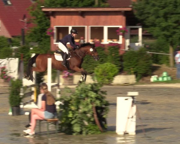 Reitturnier Ascheberg 2022