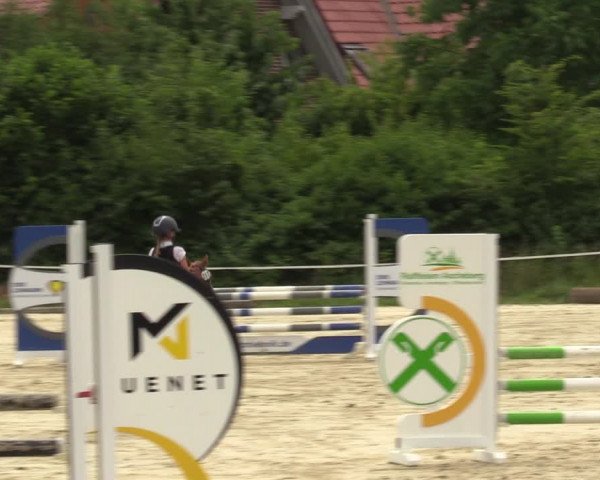 Reitturnier Ascheberg 2022