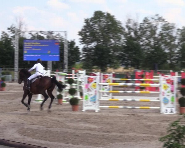 Reitturnier Pausin 2022