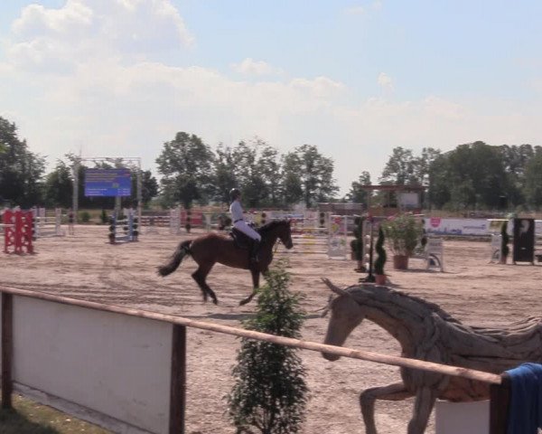 Reitturnier Pausin 2022