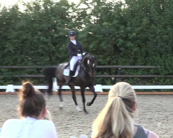 Reitturnier Schillerslage 2022