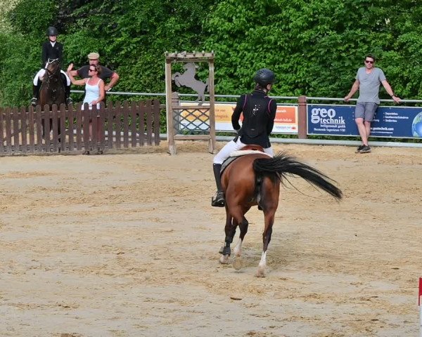 Reitturnier Uder, Reitanlage Kobold 2022