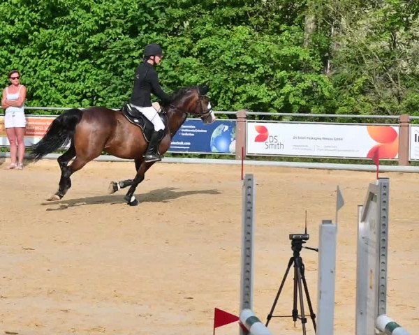 Reitturnier Uder, Reitanlage Kobold 2022