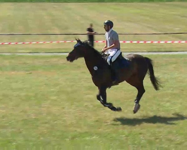 Reitturnier Bad Windsheim/Mfr. 2022
