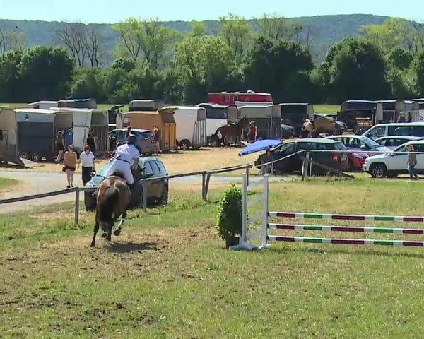 Reitturnier Bad Windsheim/Mfr. 2022