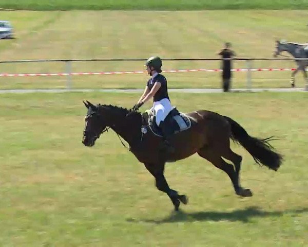 Reitturnier Bad Windsheim/Mfr. 2022