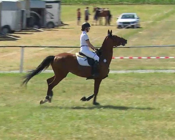 Reitturnier Bad Windsheim/Mfr. 2022