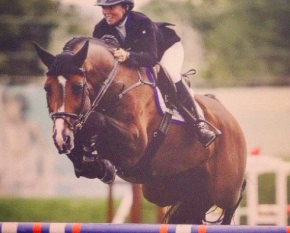 stallion Canezaro (Holsteiner, 2001, from Caretano Z)