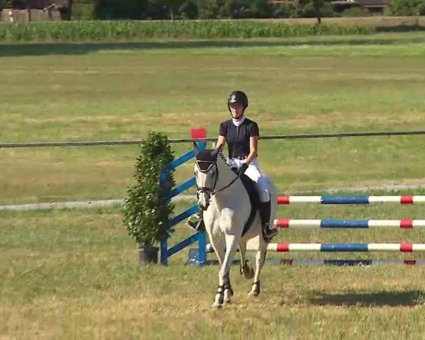 Reitturnier Bad Windsheim/Mfr. 2022
