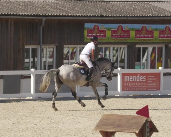 Reitturnier Memmingen/Schw. 2022