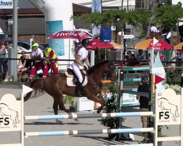 Reitturnier Gossau 2022