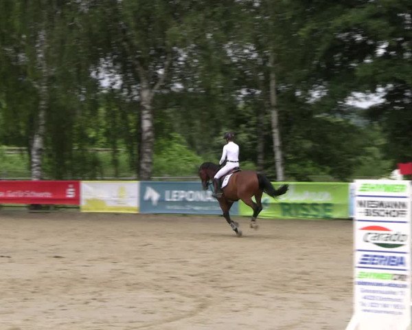 Reitturnier Schwerte-Gut Kückshausen 2022