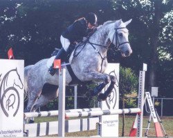 broodmare Chelsea Pentecost (Württemberger, 2004, from Candillo Z)