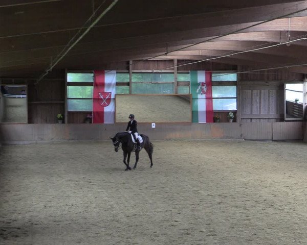 Reitturnier Schwerte-Gut Kückshausen 2022