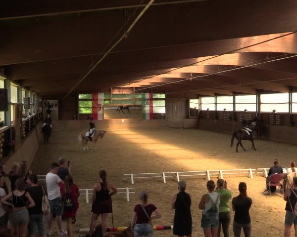 Reitturnier Schwerte-Gut Kückshausen 2022