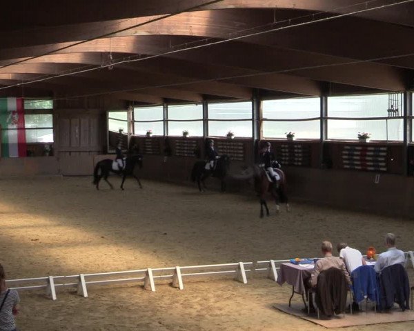 Reitturnier Schwerte-Gut Kückshausen 2022