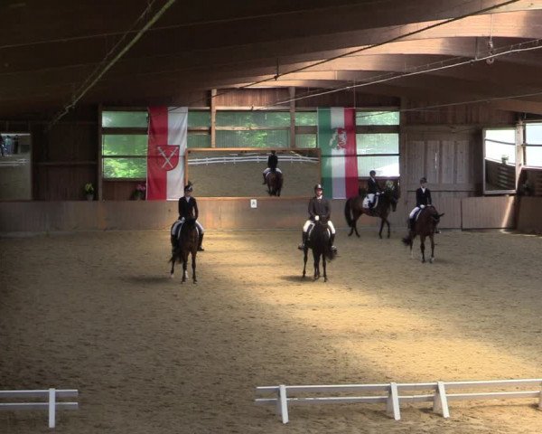 Reitturnier Schwerte-Gut Kückshausen 2022