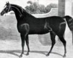 Deckhengst Humphrey Clinker xx (Englisches Vollblut, 1822, von Comus xx)