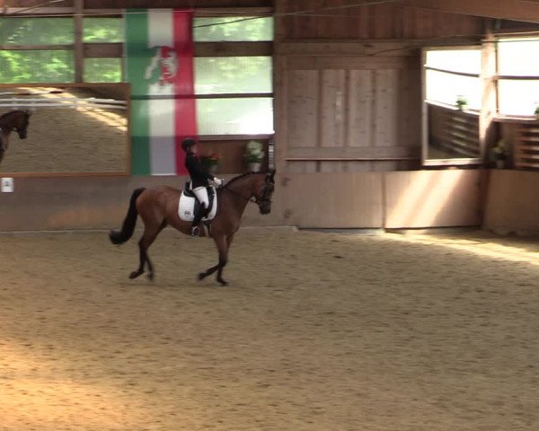Reitturnier Schwerte-Gut Kückshausen 2022